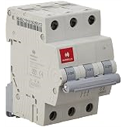 Havells DHMGCTPF006 PVC Plastic 6A MCB TP C Curve (White)