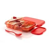 LEAWALL Unbreakable Divine Lunch Box Set Food Grade Plastic BPA-Free Storage Tiffin Dip Container & Spoon for Kids School and Adults Office Travel Use Reusable