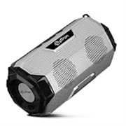 pTron Fusion Rock V2 16W Portable Bluetooth Speaker with Punchy Sound, 6Hrs Playtime, Speaker for Phone/Laptop/Tablets/Projectors, BT5.0/Aux/TF Card/USB Drive Playback & TWS Function (Silver & Black)