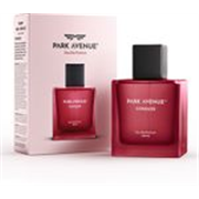PARK AVENUE Conquer Eau de Parfum Eau de Parfum – 100 ml