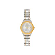 Men’s Chronograph Watch, Stainless Steel Case, Analog Display, Gold, Round Dial, Water Resistant 30M (Gold, Stainless Steel) Radiant Champaign