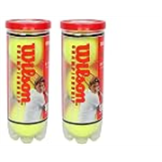 Wilson Championship Synthetic Tennis Balls|2 Can|6 Balls(3 Balls/Can) (Yellow)