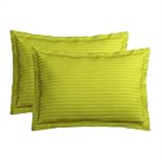 VAS COLLECTIONS Premium 210 TC 100% Pure Cotton Satin Stripes Pillow Cover Set of 2 Pcs, for Hotel Hospital Uses, 18×28 inches – Parrot