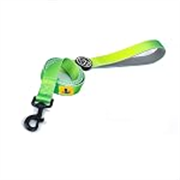 A+a Pets’ Nylon Waterproof Leash | Neoprene Padded Handle for Dogs & Cats (Gradient Design, Small, Green/Blue)