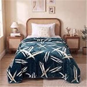 BSB HOME Single Bed Mink Blanket, Velvet Like Soft Plush Fleece Blanket, Warm Lightweight AC Blanket for Winter, Ultra Soft Cozy Bed Blanket for Home & Travel,56 x 80 Inches(142 x 203 cm) – Ocean Blue