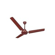 ACTIVA Bold with 2 Year Warranty 1200 MM Ceiling Fan (Brown | Pack of 1)