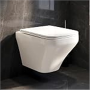 WASSMIST Commodes Toilet Wall Hung, P Trap, Rimless System with Soft Close Seat