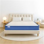 Neobest Orthopedic Support Dual Reversible & Hypoallergenic Premium Fabric 8 inch inch Queen High Resilience (HR) Foam Mattress (L x W: 78 inch x 60 inch)