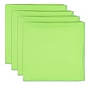 Microfiber Utility Cleaning Towels | 400 GSM Ultra-Soft Cloths for Windows, Glass, Mirror, Car & Kitchen | Streak-Free, Lint-Free | 40 x 40 cm | Aqua Green | Pack of 4