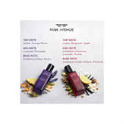 PARK AVENUE Luxury Perfume Gift Set - Euphoria & Conque..